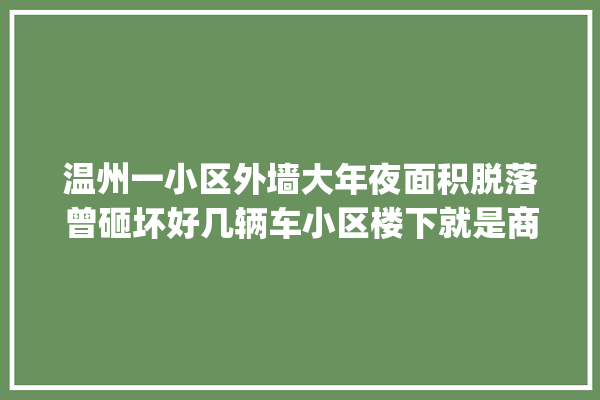 温州一小区外墙大年夜面积脱落曾砸坏好几辆车小区楼下就是商城……_外墙_教师 装修百科