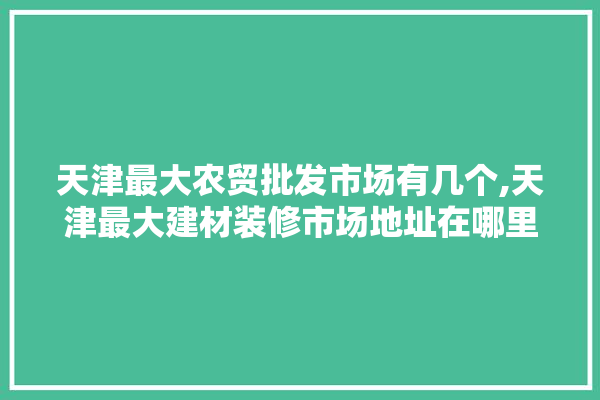 天津最大农贸批发市场有几个,天津最大建材装修市场地址在哪里 找灵感