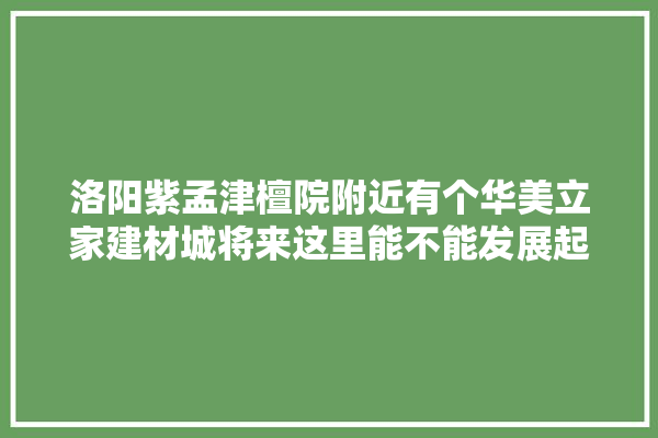 洛阳紫孟津檀院附近有个华美立家建材城将来这里能不能发展起来,建材城最具实力的装修公司 装修问答