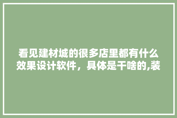 看见建材城的很多店里都有什么效果设计软件，具体是干啥的,装修建材城怎么找客户合作的 电工