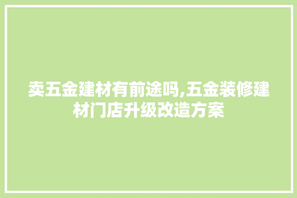 卖五金建材有前途吗,五金装修建材门店升级改造方案 选产品