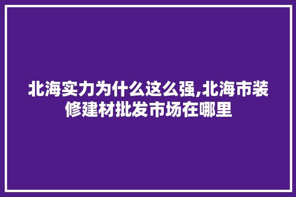 北海实力为什么这么强,北海市装修建材批发市场在哪里 卫浴
