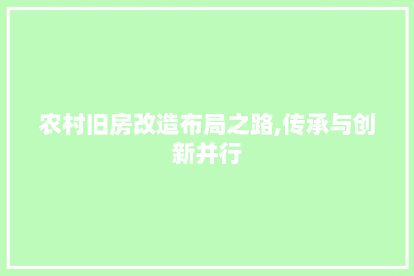 农村旧房改造布局之路,传承与创新并行 卫浴