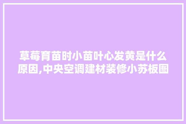草莓育苗时小苗叶心发黄是什么原因,中央空调建材装修小苏板图片 电工
