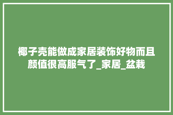 椰子壳能做成家居装饰好物而且颜值很高服气了_家居_盆栽 门窗