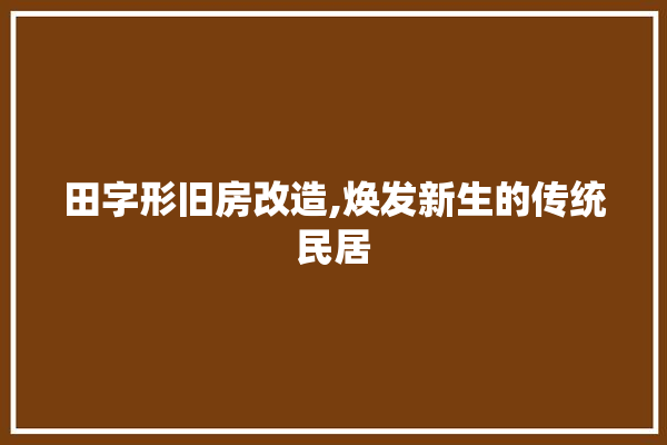 田字形旧房改造,焕发新生的传统民居