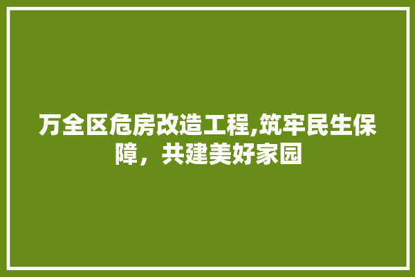 万全区危房改造工程,筑牢民生保障，共建美好家园 硅藻泥