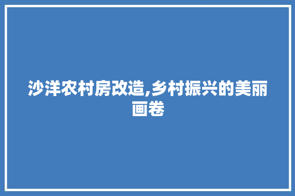 沙洋农村房改造,乡村振兴的美丽画卷 门窗