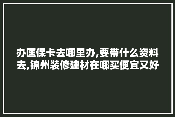 办医保卡去哪里办,要带什么资料去,锦州装修建材在哪买便宜又好