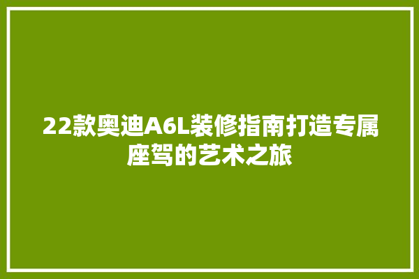 22款奥迪A6L装修指南打造专属座驾的艺术之旅 厨房