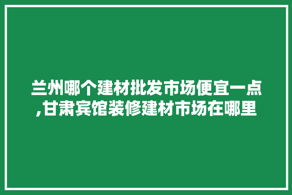 兰州哪个建材批发市场便宜一点,甘肃宾馆装修建材市场在哪里 卫浴