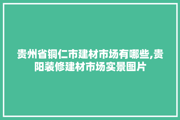 贵州省铜仁市建材市场有哪些,贵阳装修建材市场实景图片