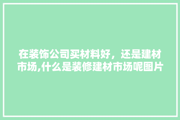 在装饰公司买材料好，还是建材市场,什么是装修建材市场呢图片
