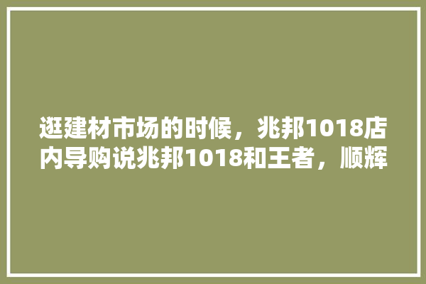 逛建材市场的时候，兆邦1018店内导购说兆邦1018和王者，顺辉属于一个集团，但是为什么价格这么便宜啊,装修房子什么时候逛建材市场比较好