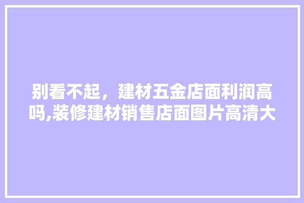 别看不起，建材五金店面利润高吗,装修建材销售店面图片高清大图