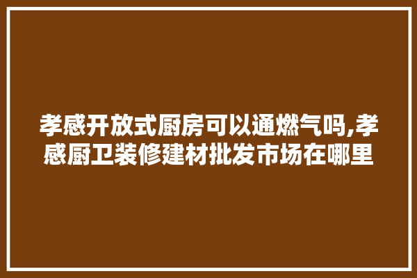 孝感开放式厨房可以通燃气吗,孝感厨卫装修建材批发市场在哪里 五金