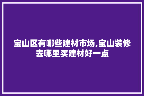 宝山区有哪些建材市场,宝山装修去哪里买建材好一点