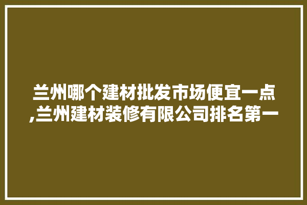 兰州哪个建材批发市场便宜一点,兰州建材装修有限公司排名第一 照明