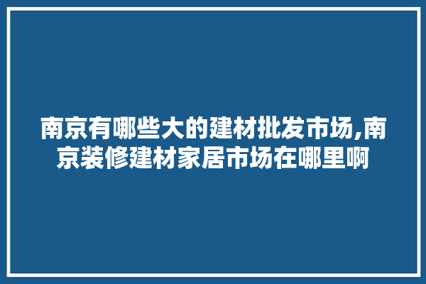 南京有哪些大的建材批发市场,南京装修建材家居市场在哪里啊 采暖