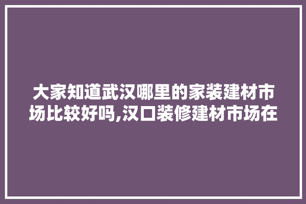大家知道武汉哪里的家装建材市场比较好吗,汉口装修建材市场在哪里啊