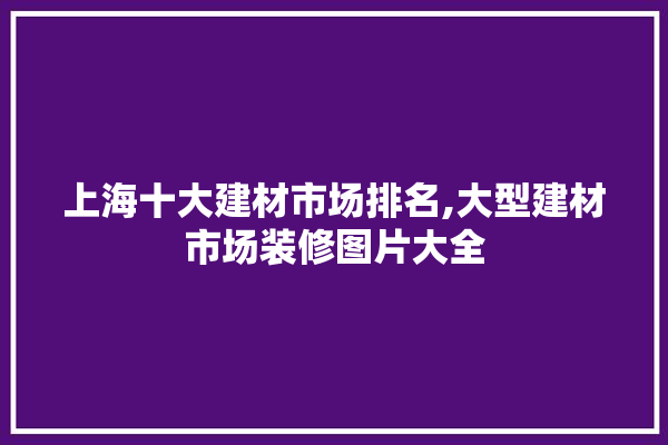 上海十大建材市场排名,大型建材市场装修图片大全