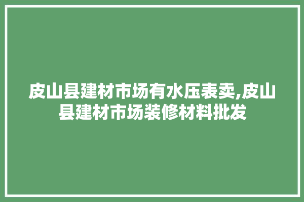 皮山县建材市场有水压表卖,皮山县建材市场装修材料批发