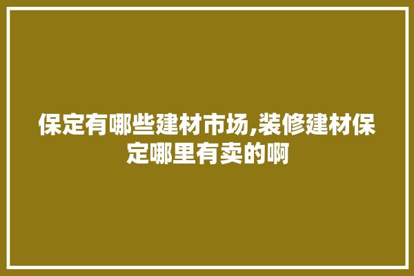 保定有哪些建材市场,装修建材保定哪里有卖的啊 厨房
