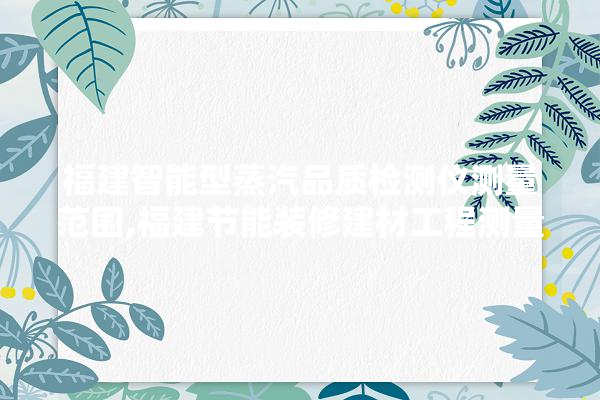福建智能型蒸汽品质检测仪测量范围,福建节能装修建材工程测量公司