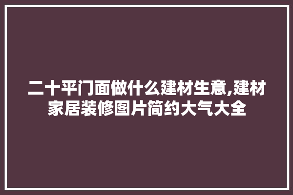 二十平门面做什么建材生意,建材家居装修图片简约大气大全