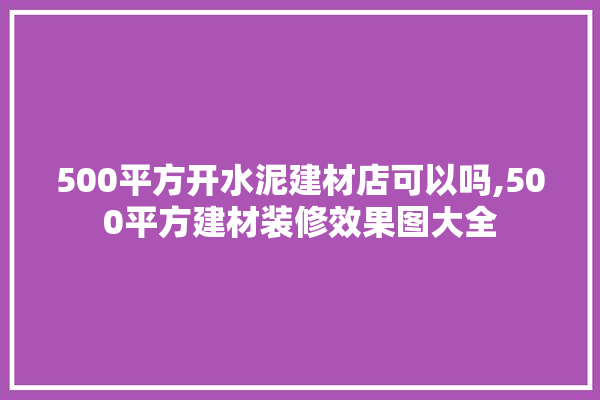 500平方开水泥建材店可以吗,500平方建材装修效果图大全