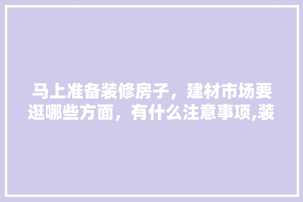 马上准备装修房子，建材市场要逛哪些方面，有什么注意事项,装修建材市场东西拿不上怎么办