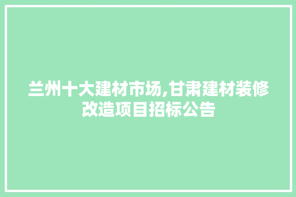 兰州十大建材市场,甘肃建材装修改造项目招标公告 厨房